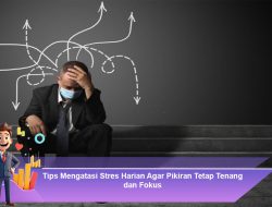 Tips Mengatasi Stres Harian Agar Pikiran Tetap Tenang dan Fokus