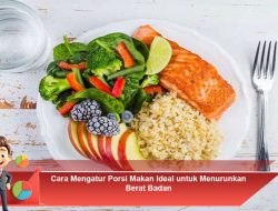 Cara Mengatur Porsi Makan Ideal untuk Menurunkan Berat Badan