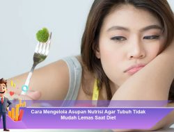 Cara Mengelola Asupan Nutrisi Agar Tubuh Tidak Mudah Lemas Saat Diet