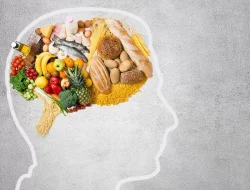 Nutrisi Penting Untuk Menjaga Fungsi Otak Dan Konsentrasi Saat Aktivitas Padat