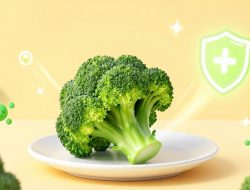 Tips Menjaga Kesehatan Usus dengan Konsumsi Air Rebusan Kayu Manis